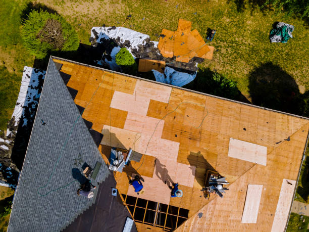 Best Metal Roofing Contractor  in North Bend, NE