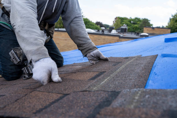 Quick and Trustworthy Emergency Roof Repair Services in North Bend, NE