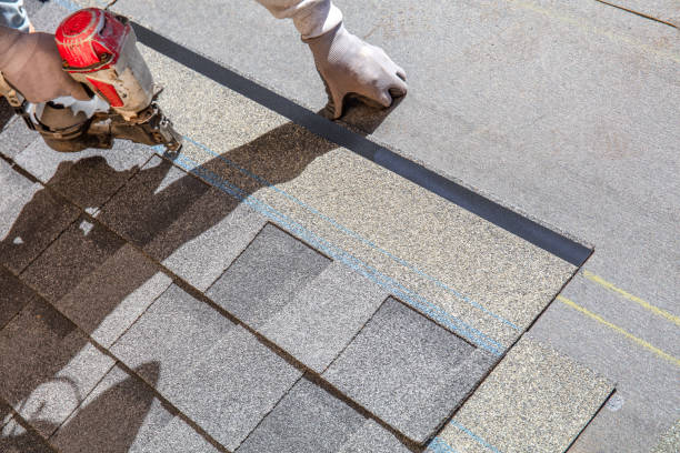 Best Roof Waterproofing Services  in North Bend, NE